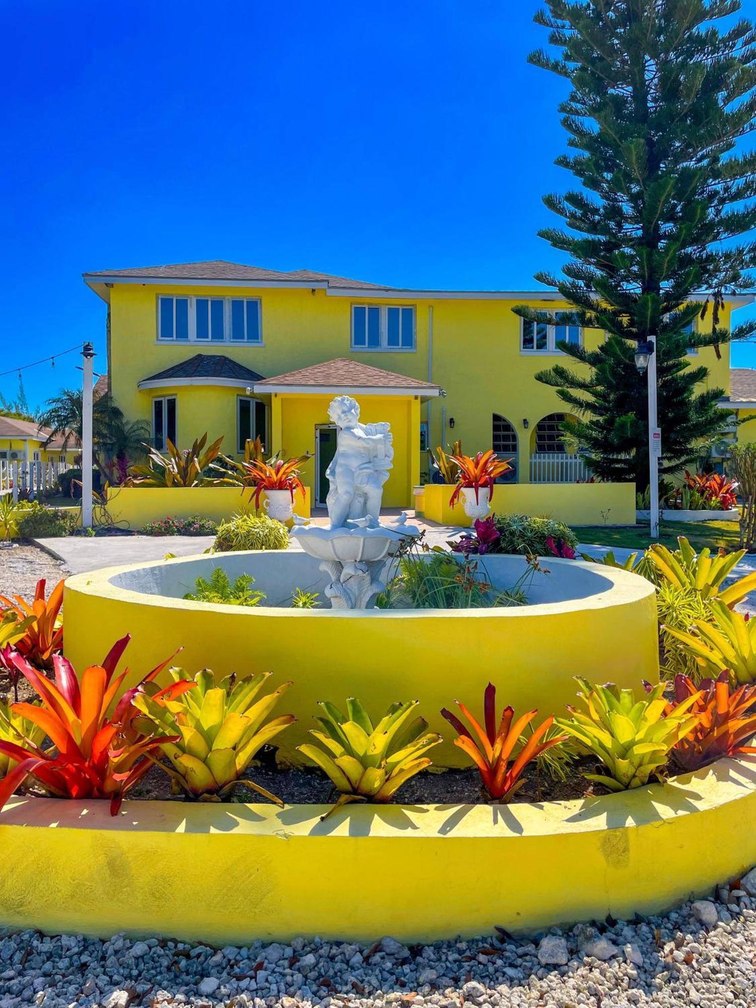 Golden Palms House Acomodação com café da manhã  3*